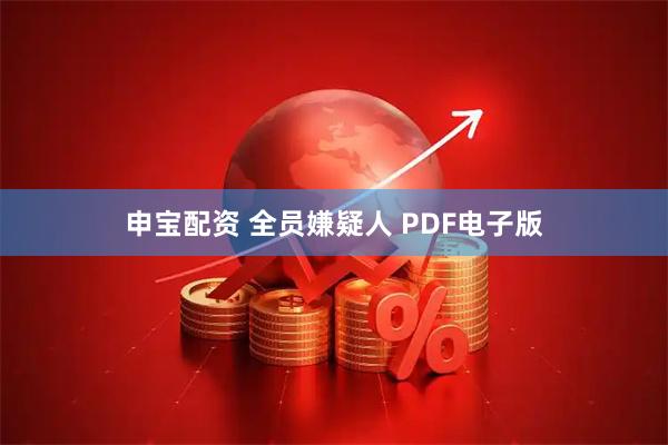 申宝配资 全员嫌疑人 PDF电子版