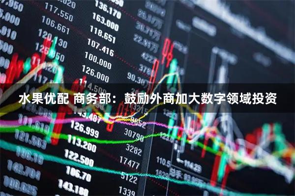 水果优配 商务部：鼓励外商加大数字领域投资