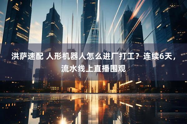 洪萨速配 人形机器人怎么进厂打工？连续6天，流水线上直播围观